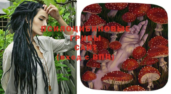 не бодяженный Дмитровск