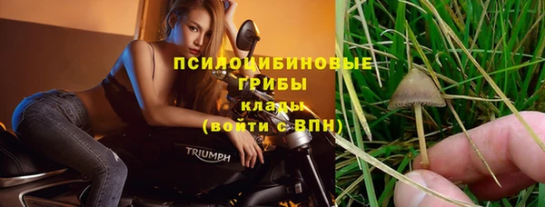 альфа пвп Дмитриев