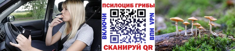 Псилоцибиновые грибы Cubensis  Купить закладки  Рубцовск 