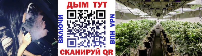 Купить где  Рубцовск  Каннабис Amnesia 